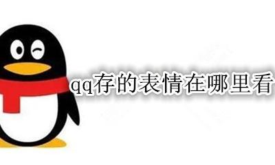 QQ表情包在哪看 qq存的表情在哪里看