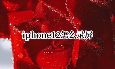 iphone12怎么录屏 Iphone12 如何录屏