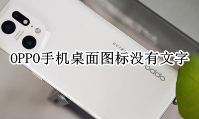 oppo手机桌面字体不见了 OPPO手机桌面图标没有文字