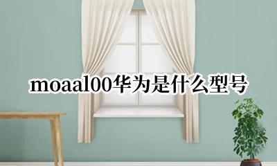 华为moaal00参数 moaal00华为是什么型号