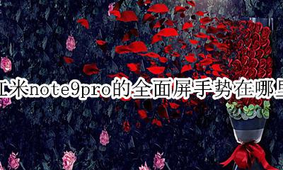 红米note9pro的全面屏手势在哪里 怎么设置全面屏手势