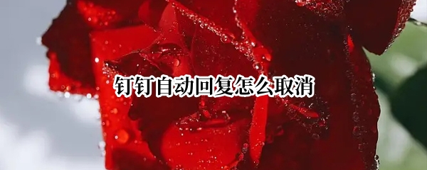 钉钉自动回复怎么取消