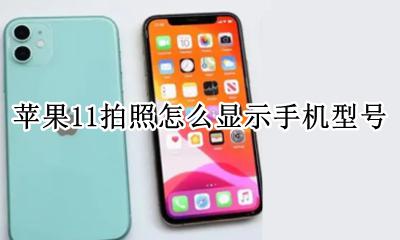 苹果11拍照怎么显示手机型号 苹果拍照怎么显示手机型号水印