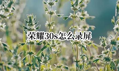 荣耀30s怎么录屏 华为荣耀30s有录屏功能吗