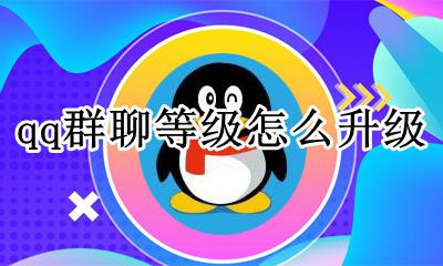 qq群聊等级怎么升级 qq群聊等级升级规则