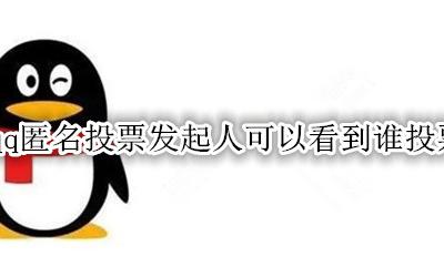 qq匿名投票发起人可以看到谁投票吗 qq匿名投票发起人能看到谁没投票吗