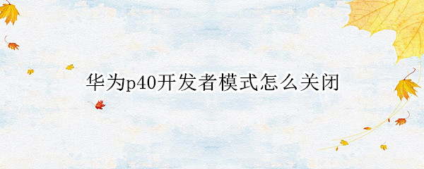 华为p40开发者模式怎么关闭