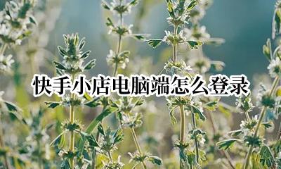 快手小店如何登陆电脑 快手小店电脑端怎么登录