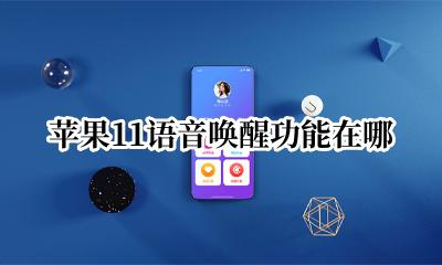 苹果11语音唤醒功能在哪 苹果11怎么开启语音唤醒功能