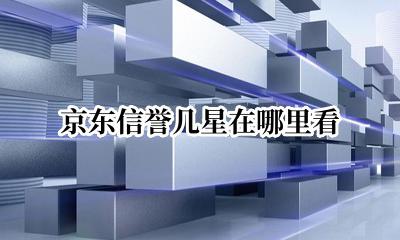 京东信誉几星在哪里看 京东信誉几星在哪里查看
