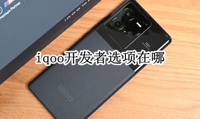 iqoo开发者选项在哪 iqoo的开发者选项在哪