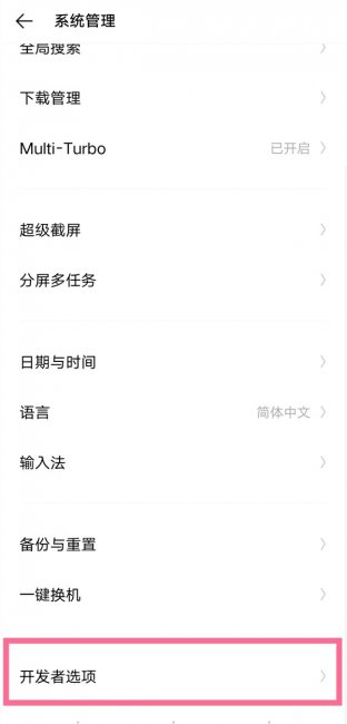 iqoo开发者选项在哪