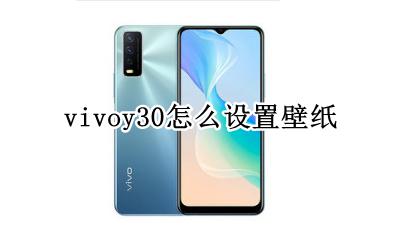 vivoy30怎么设置壁纸 vivox30壁纸怎么设置