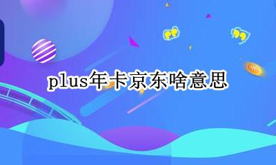 plus年卡京东啥意思 京东的plus年卡是什么