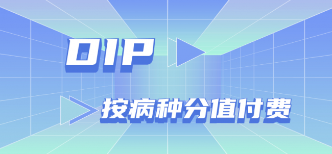 dip支付方式是什么意思