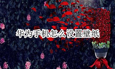 华为手机怎么设置壁纸 华为手机怎么设置动态壁纸
