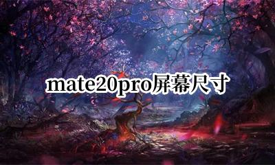 mate20pro屏幕尺寸 mate20pro的屏幕尺寸