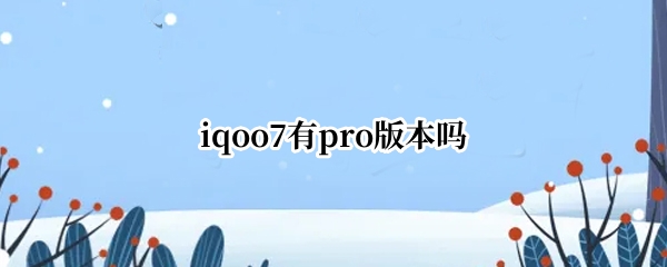 iqoo7有pro版本吗
