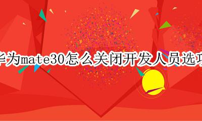 华为mate30怎么关闭开发人员选项 华为mate30开发人员选项需要关闭吗