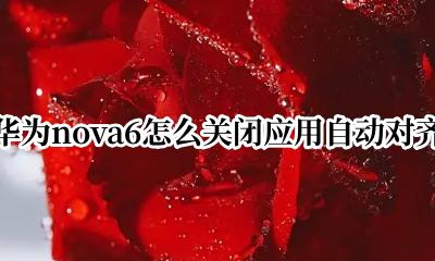 华为nova6怎么关闭应用自动对齐 华为nova6桌面自动对齐怎么没用