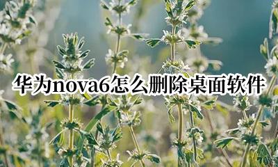 华为nova6怎么删除桌面软件 华为nova6i怎么删除桌面软件