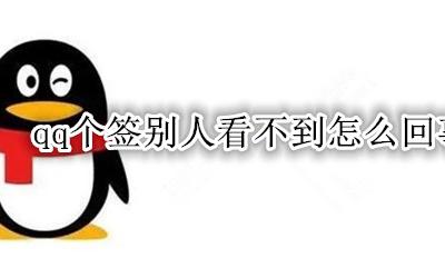 qq个签看不到怎么办 qq个签别人看不到怎么回事