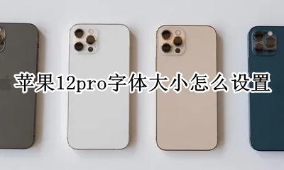 苹果12pro字体大小怎么设置 iphone12pro字体大小怎么设置
