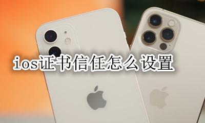 ios证书信任怎么设置 ios证书信任设置未显示证书