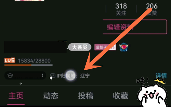 b站显示ip属地吗