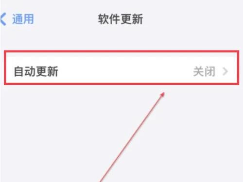 ipadmini2怎么升级到ios13