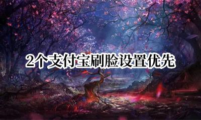 2个支付宝刷脸设置优先 支付宝刷脸可以设置几个