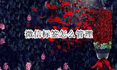 微信标签怎么管理 微信标签批量管理