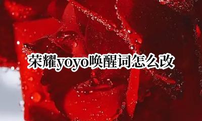 荣耀yoyo唤醒词怎么改 怎么修改荣耀手机YOYO唤醒词