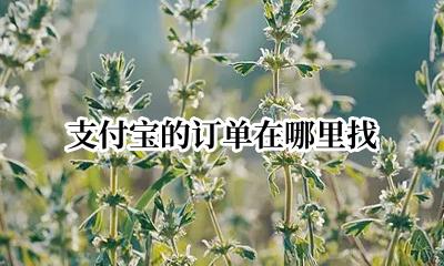 支付宝的订单在哪里找 支付宝的订单详情在哪里找