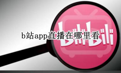 b站app看不了直播 b站app直播在哪里看