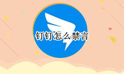 钉钉怎么禁言 怎么禁言一个人
