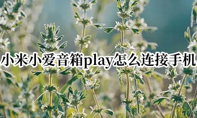 小米小爱音箱play怎么连接手机 小米小爱音箱play怎么用蓝牙连接