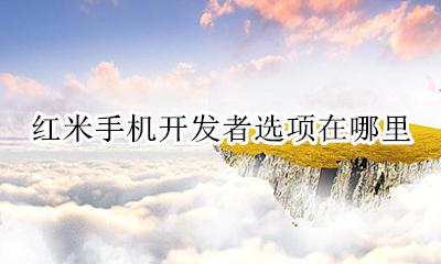 红米手机怎样开发者选项 红米手机开发者选项在哪里