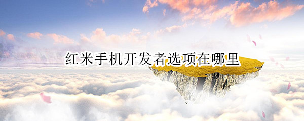 红米手机开发者选项在哪里