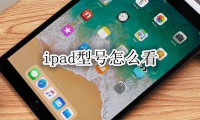 ipad型号怎么看 怎么查看ipad的型号