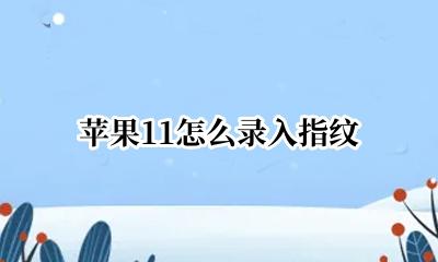 苹果11怎么录入指纹 苹果怎么录入指纹密码
