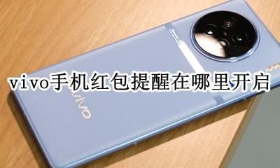 vivo手机红包提醒在哪里开启? vivo手机红包提醒在哪里开启微信到账语音