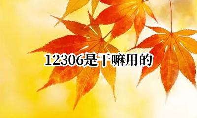 12306是干嘛用的 12306是做什么的
