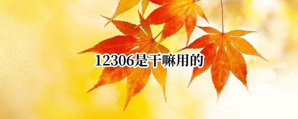 12306是干嘛用的