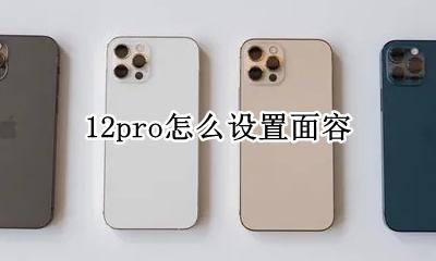 12pro怎么设置面容 12promax面容设置不了