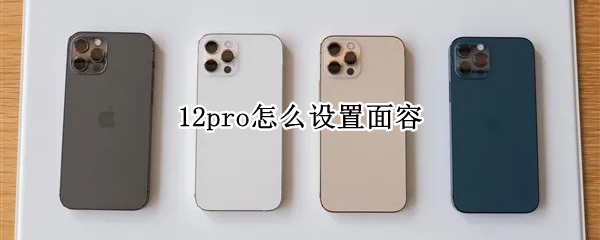 12pro怎么设置面容