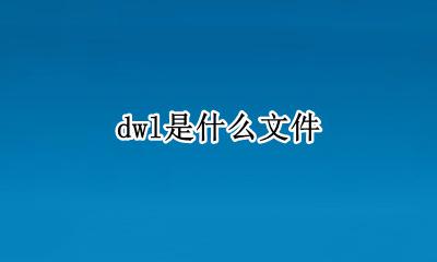 dwl是什么文件 dwl格式是什么
