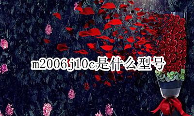 m2006j2006 c m2006j10c是什么型号