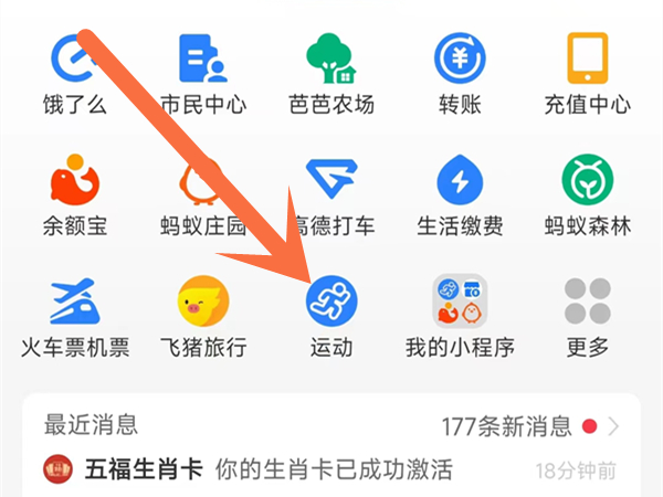 支付宝怎么查询朋友历史步数