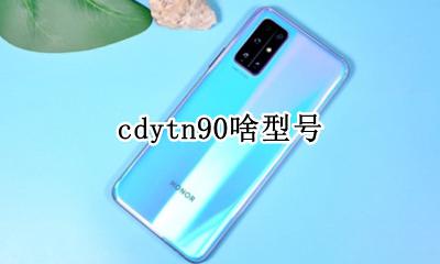 cdy–tn90 cdytn90啥型号